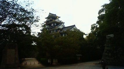 岡山城だよ。岡山にもお城があった。.jpg