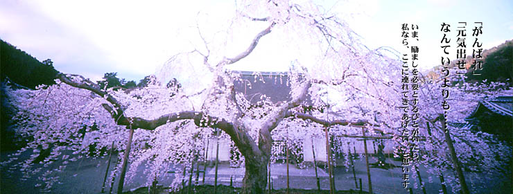 spring_2000.jpg